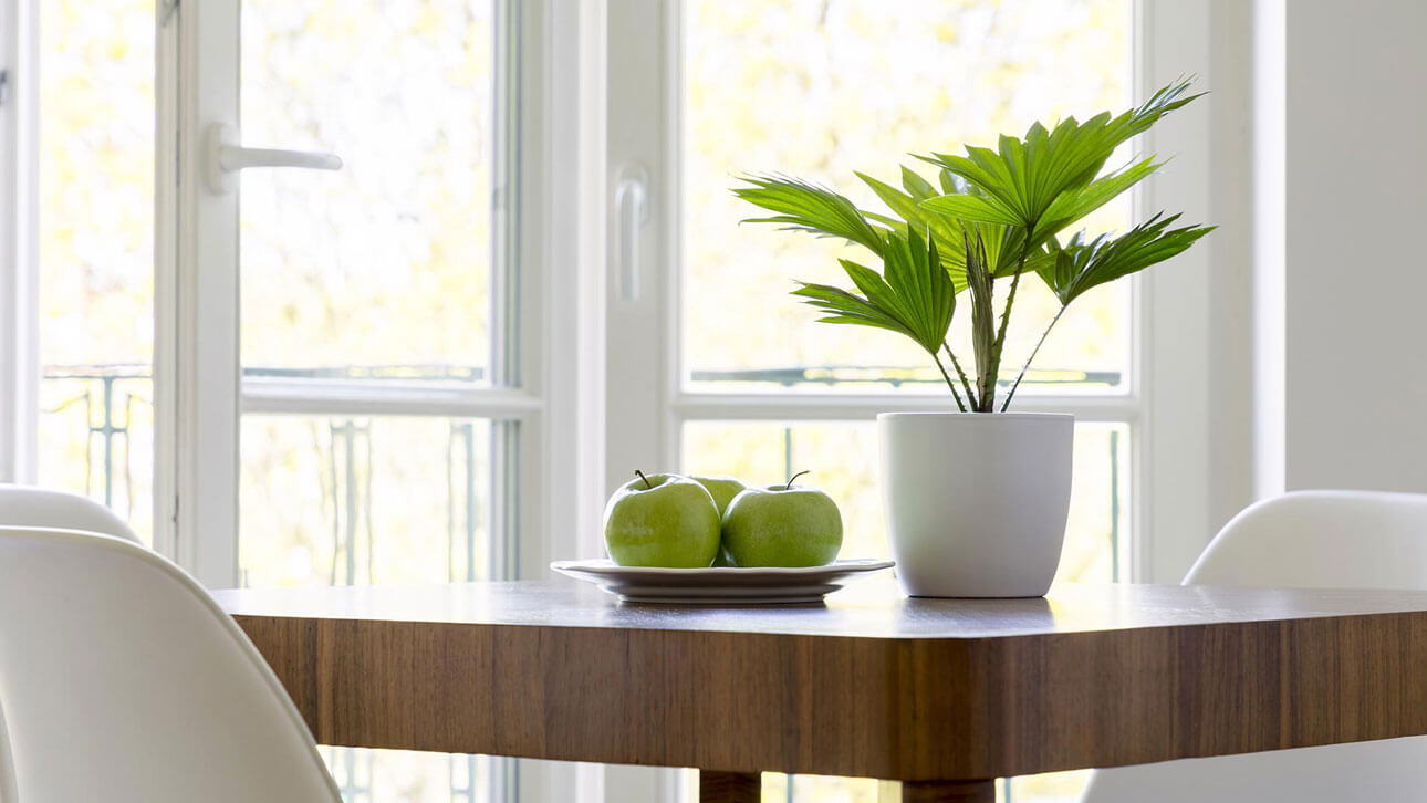 Homepage Fa. ANTE Fenster + Türen Inh. Klaus Tessarek e.K.: Startbild